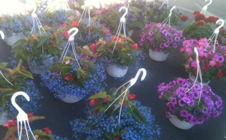 Mother's Day Plant Sale